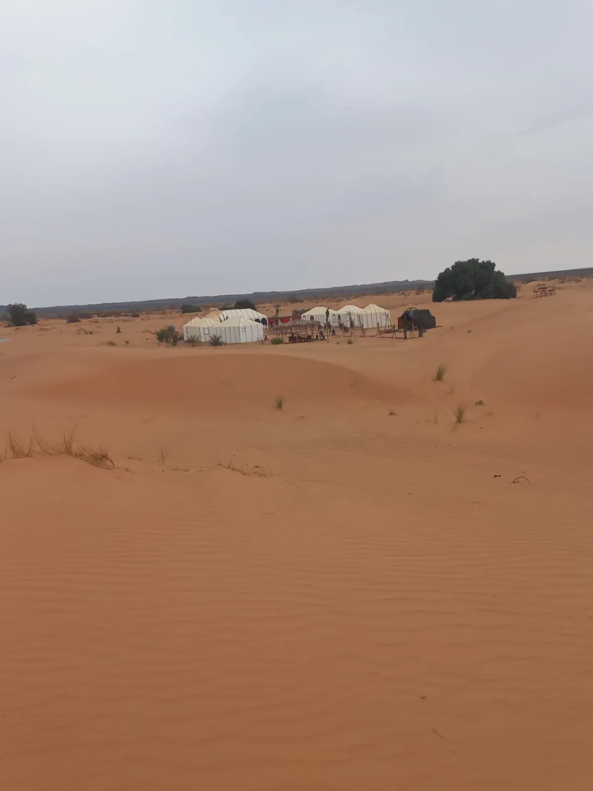 Zagora