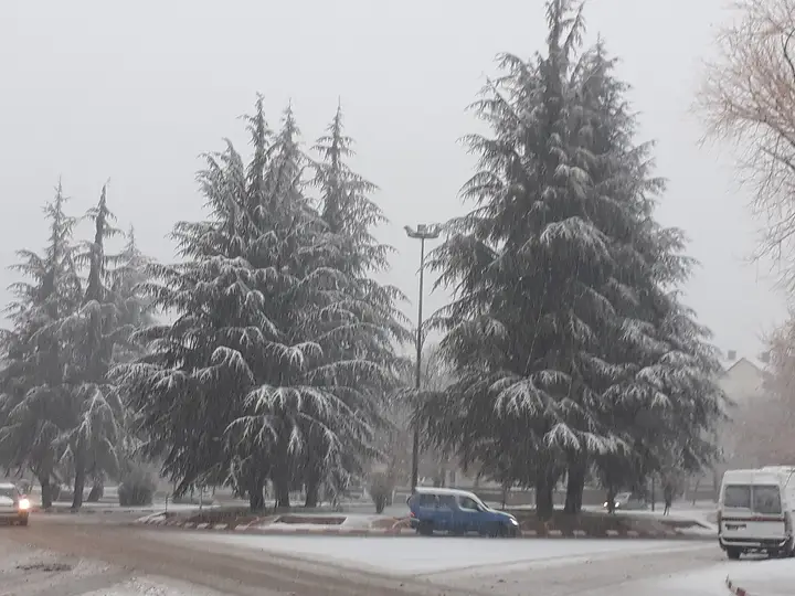 Experience Ifrane in Winter