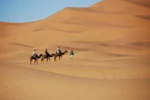 travel with real nomads, ride camels on the sahara dunes
