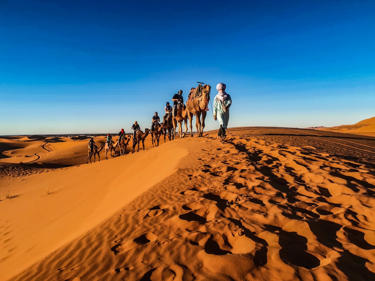 Explore southern Morocco. ride camels on sahara desert