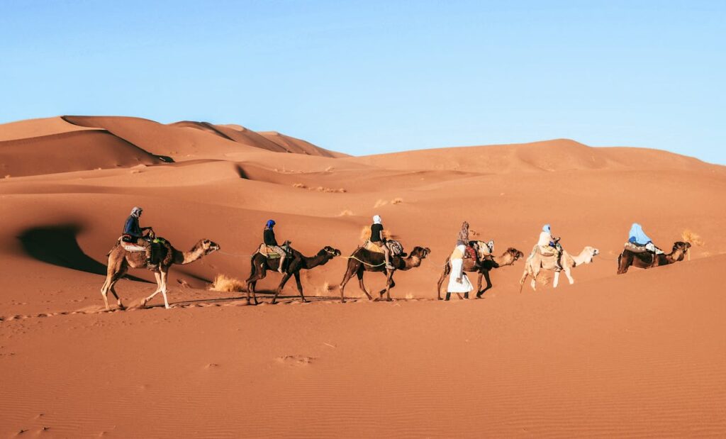 guided camel ride on merzouga sahara desert