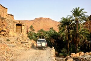 car driving in moroccan amazing oazis