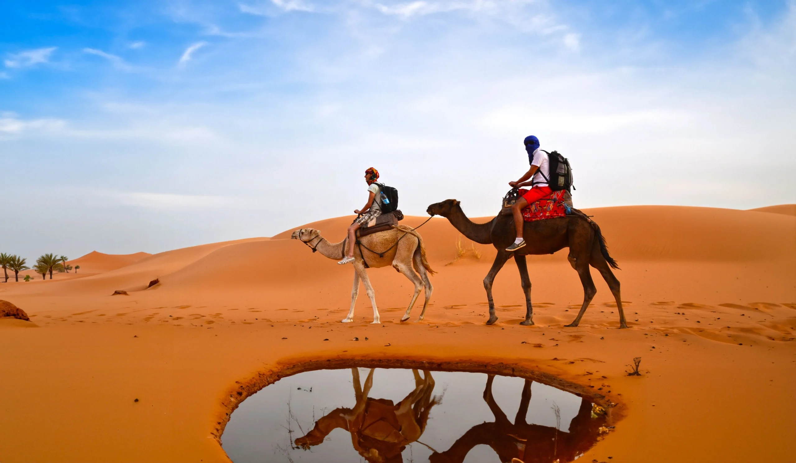 Camel Trek Across Dunes