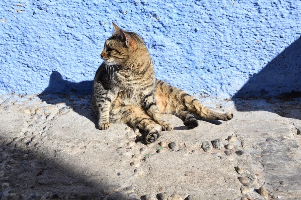 Chefchaouen