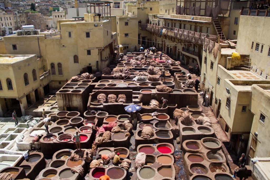 FES