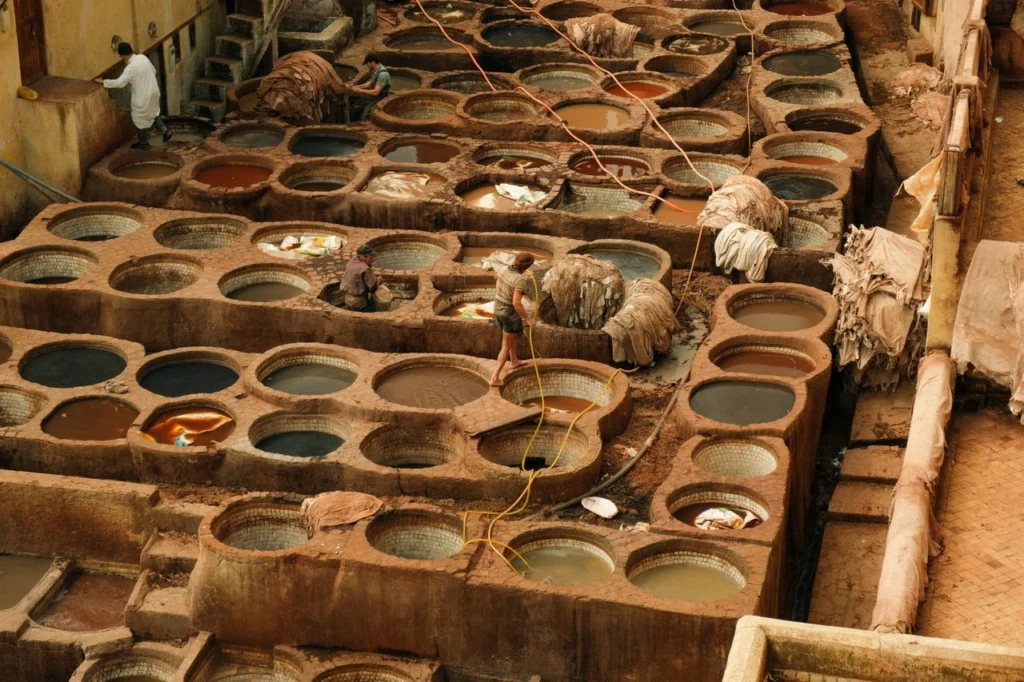 Visit the Famous Chouara Tanneries