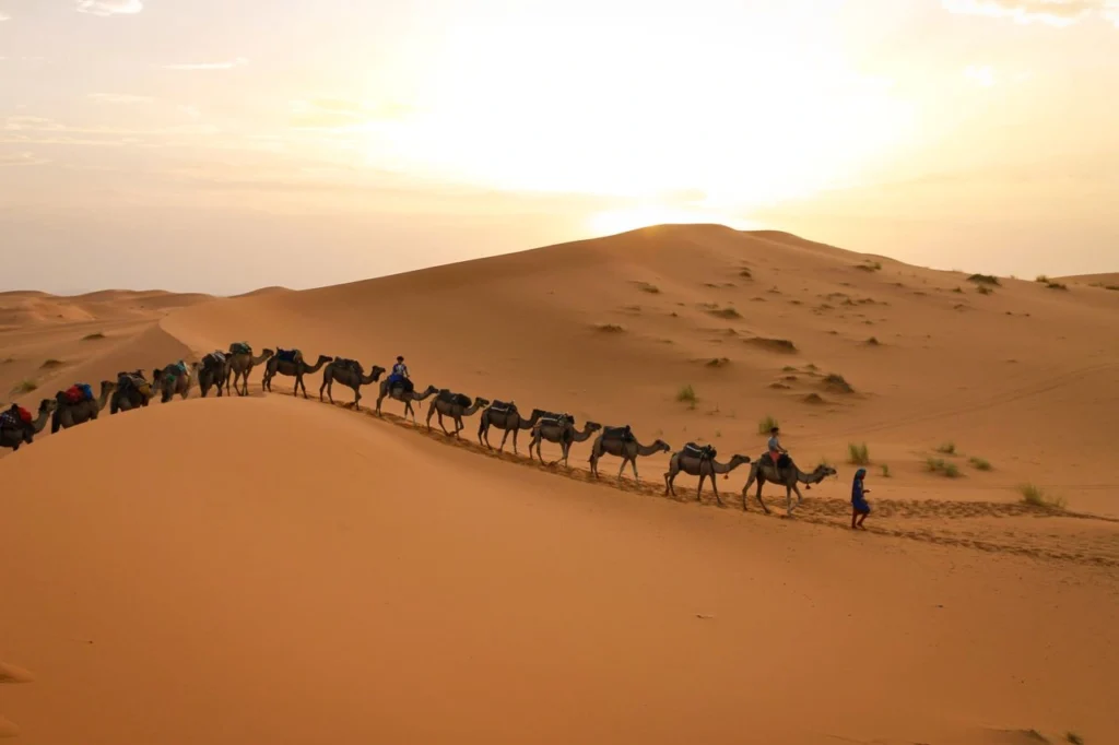 Watch the Sunrise Over the Sahara