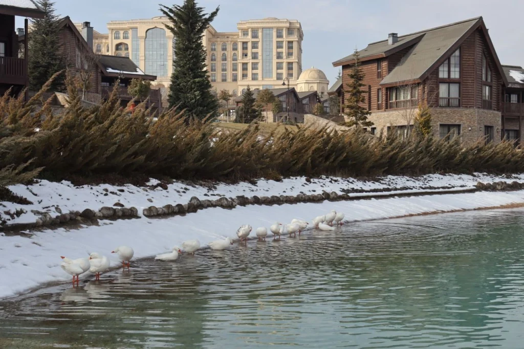 ifrane