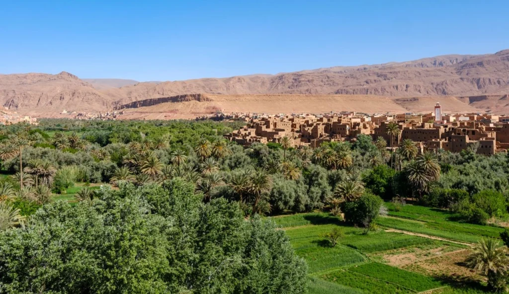 Discover the Draa Valley