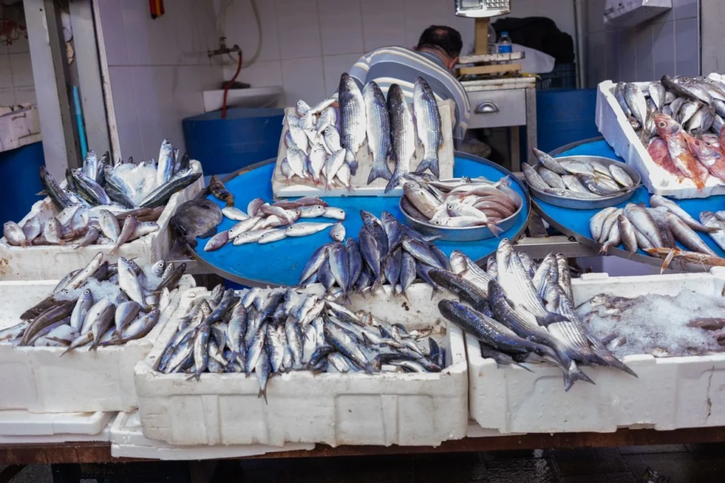 Enjoy Fresh Seafood