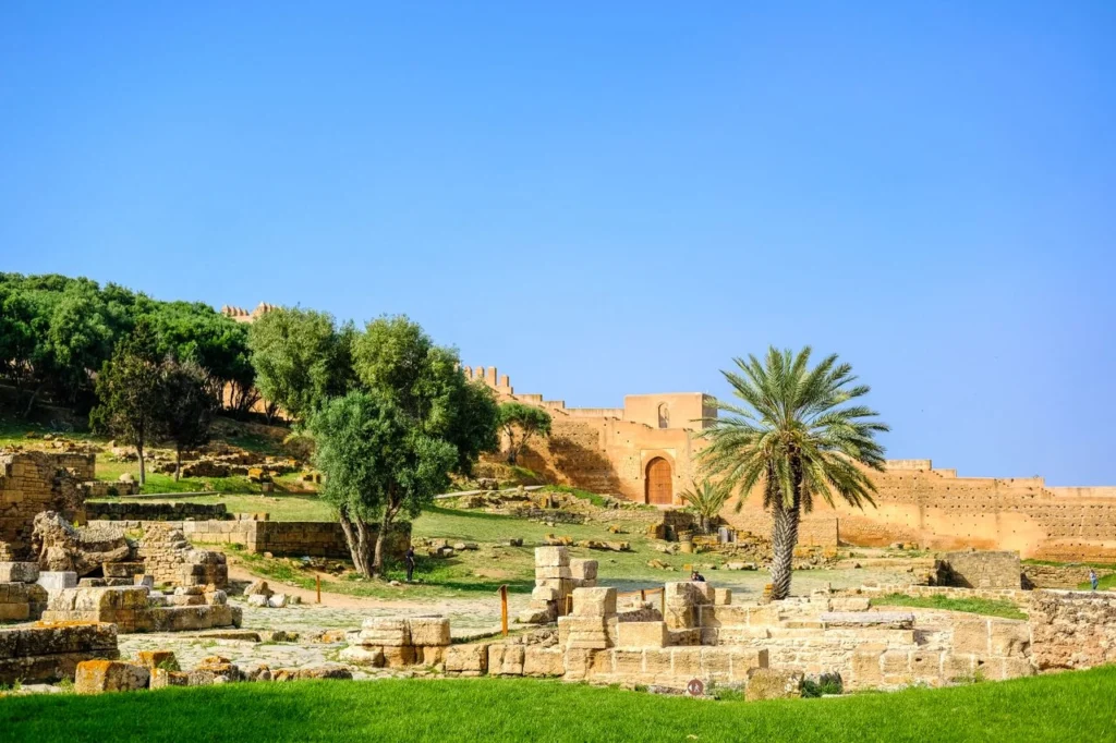 Explore the Historic Chellah