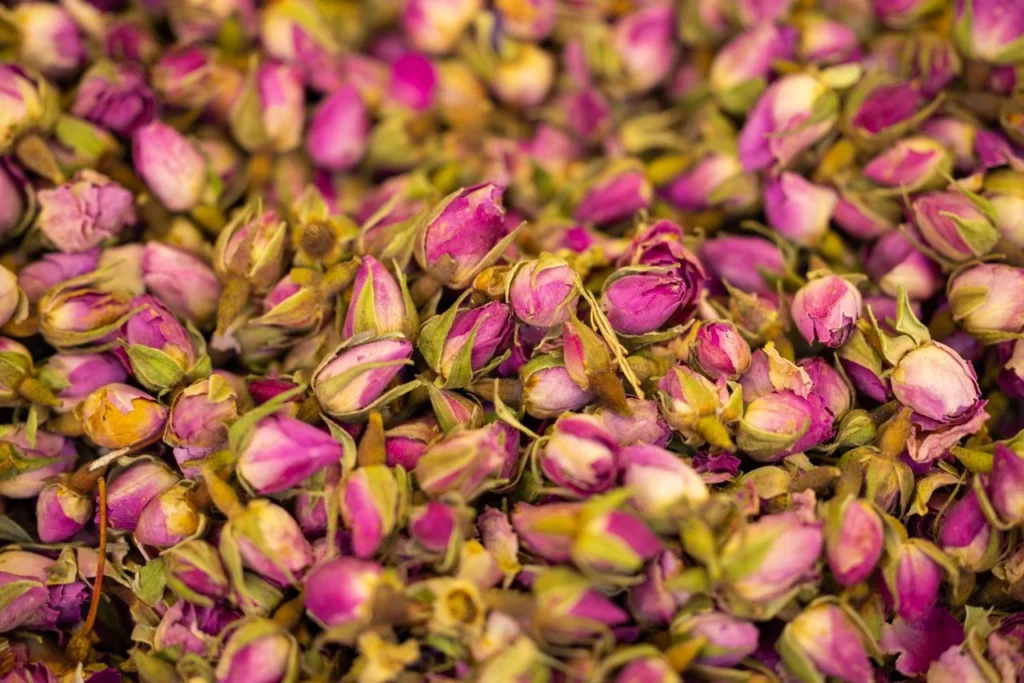 Explore the Valley of Roses