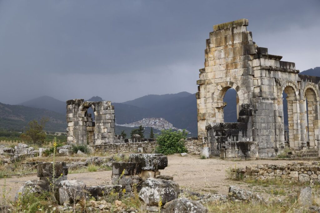 Surrounding Landscapes