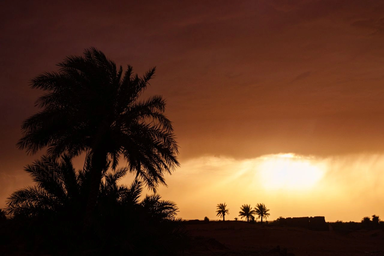 Watch the Sunset Over the Kasbahs